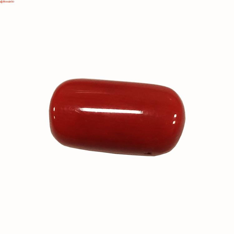 red coral super premium extra large size